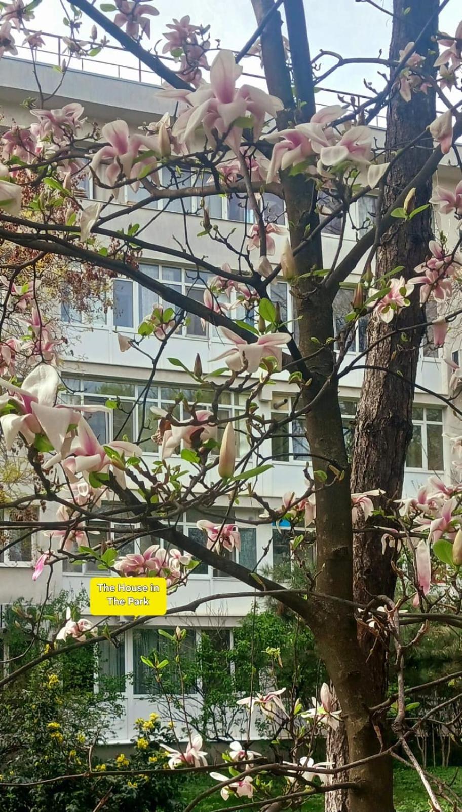 Apartamento The House In The Park Bucarest Exterior foto