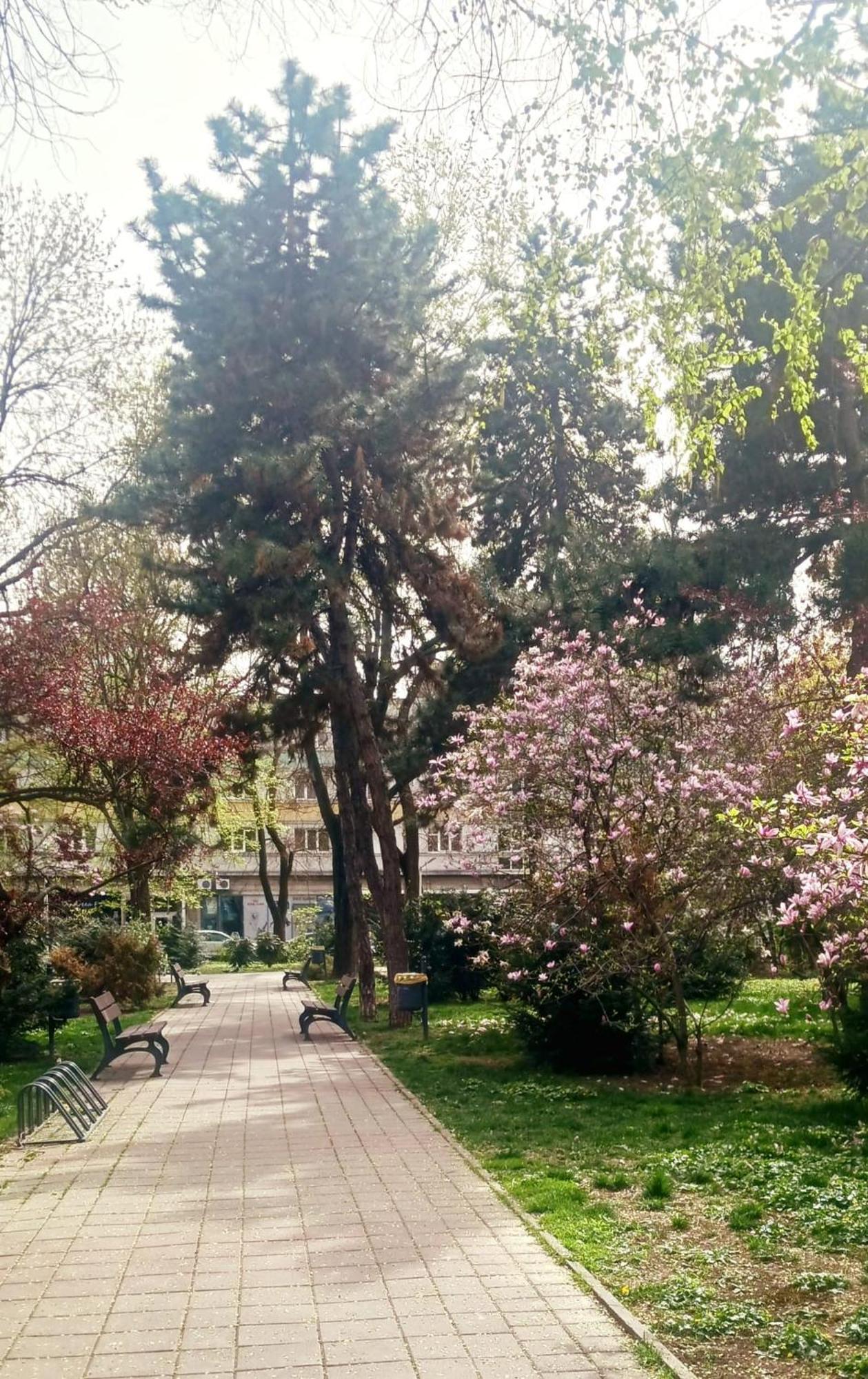 Apartamento The House In The Park Bucarest Exterior foto